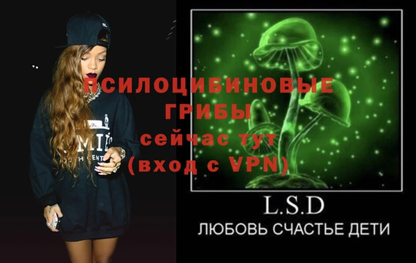 ГАЛЛЮЦИНОГЕННЫЕ ГРИБЫ Кукмор
