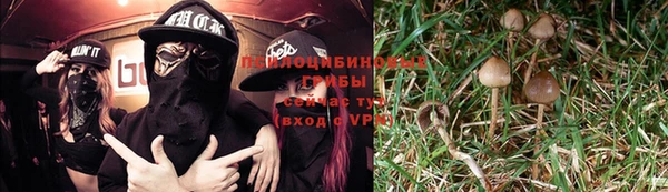 мет Алзамай